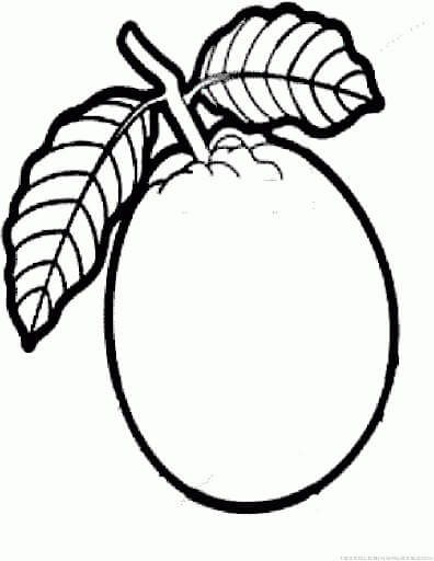 Dibujo de Guayaba Impresionante para Colorear