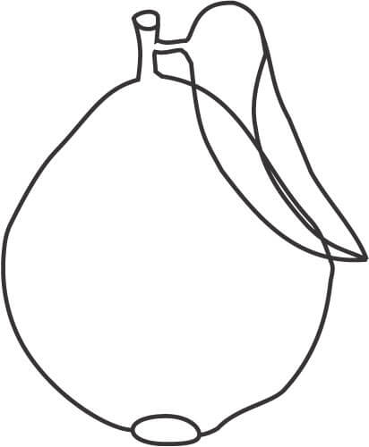 Dibujo de Guayaba Imprimible para Colorear