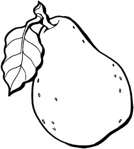 Dibujo de Guayaba Increible para Colorear