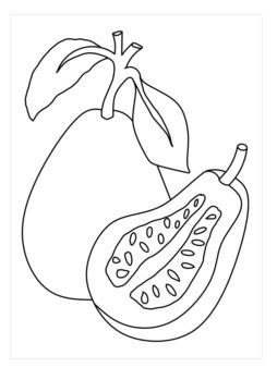 Dibujo de Guayaba Normal para Colorear