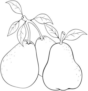 Dibujo de Tres Guayaba para Colorear
