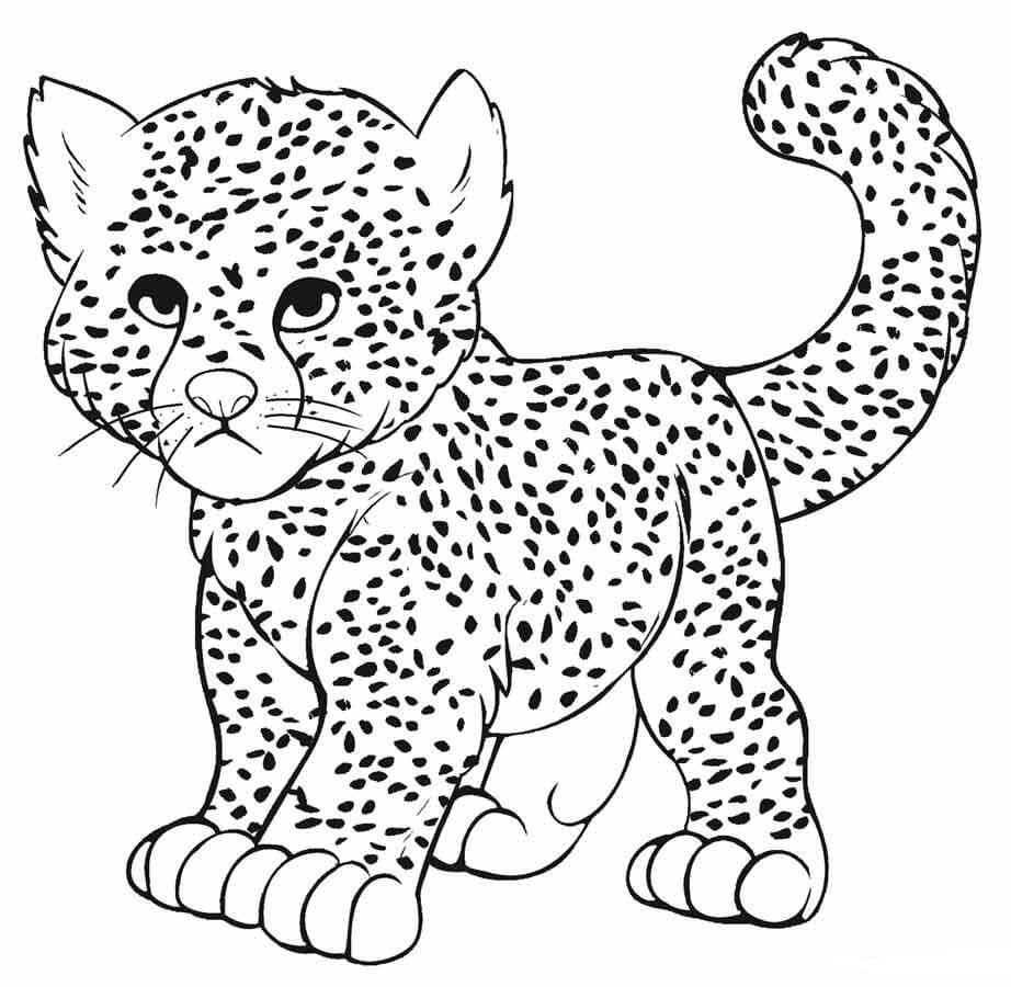 Dibujo de Beb Guepardo para Colorear