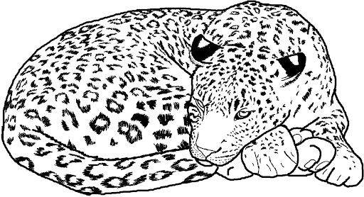 Dibujo de Buen Guepardo para Colorear