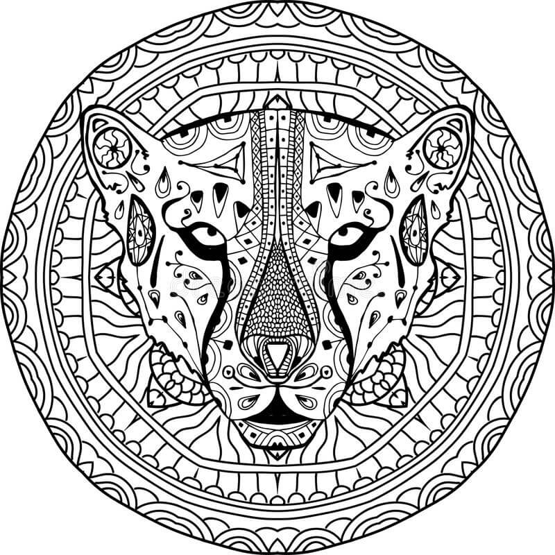 Dibujo de Cheetah Es para Adultos para Colorear