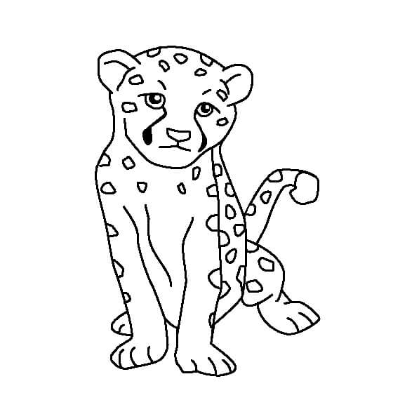 Dibujo de Guepardo para Colorear