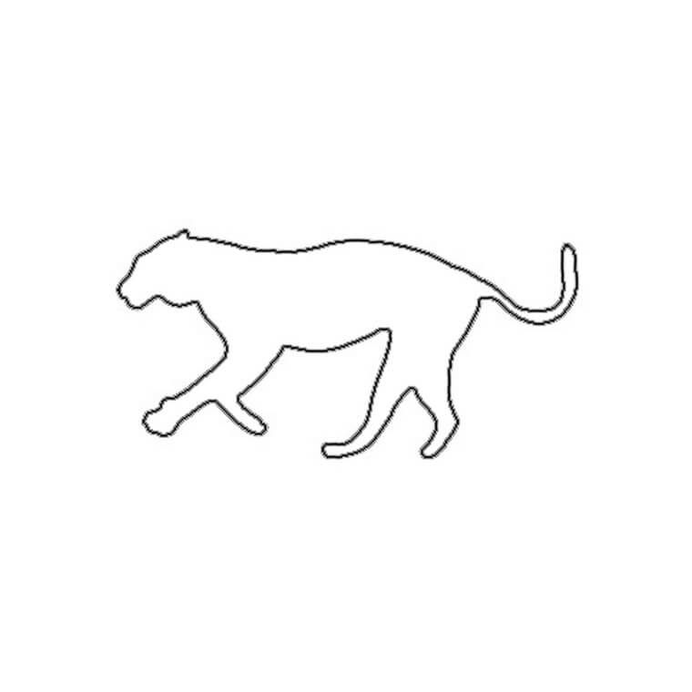 Dibujo de Esquema de Guepardo para Colorear