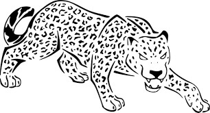 Dibujo de Guepardo Enojado para Colorear