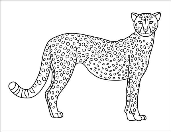 Dibujo de Guepardo Normal para Colorear