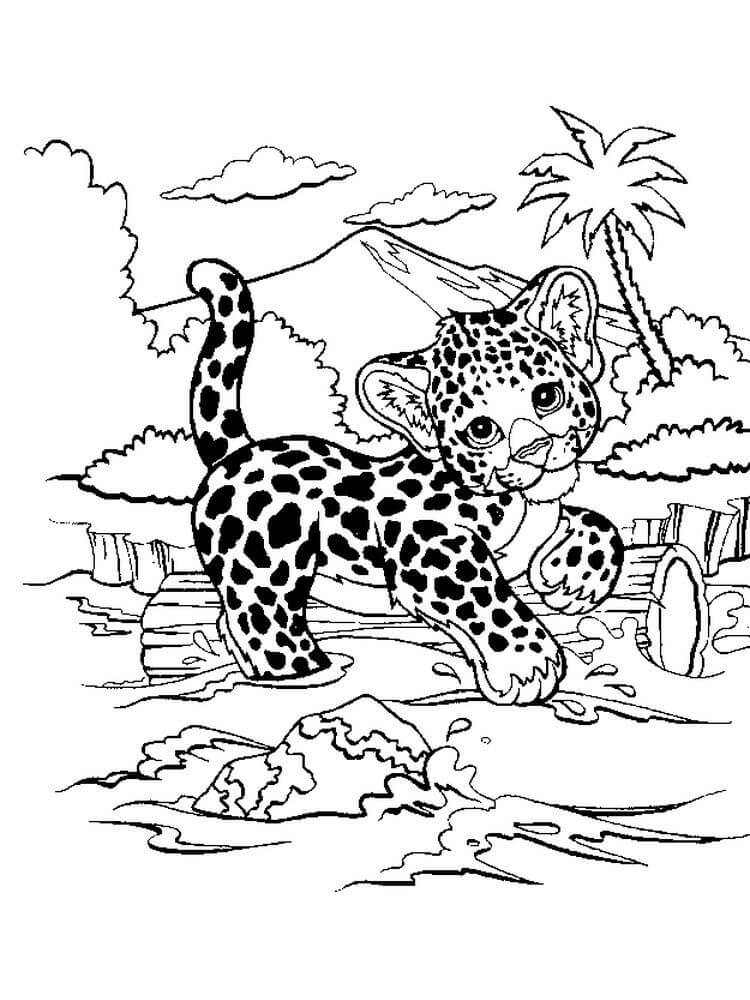 Dibujo de Guepardo en el Ro para Colorear