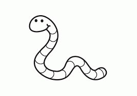 Dibujo de Gusano Simple para Colorear