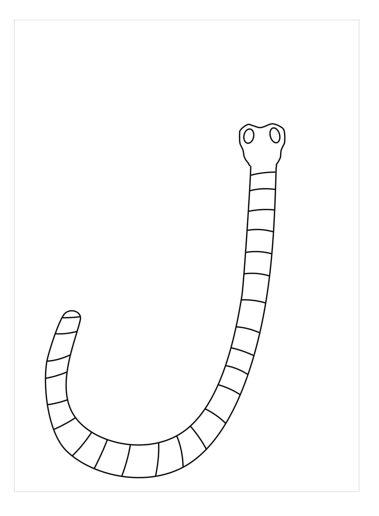 Dibujo de Gusano de Cinta para Colorear
