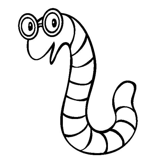 Dibujo de Gusanos Normales para Colorear