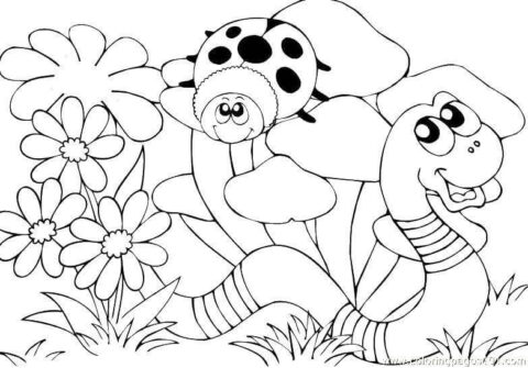 Dibujo de Gusanos y Mariquita para Colorear