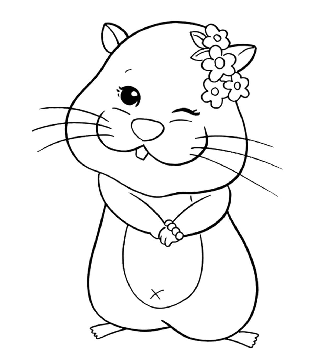 Dibujo de Hmster Divertida para Colorear