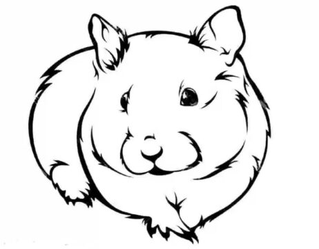 Dibujo de Hmster Funcionamiento para Colorear