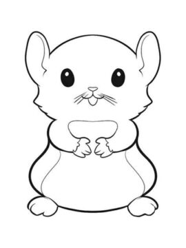 Dibujo de Hmster Sentado para Colorear