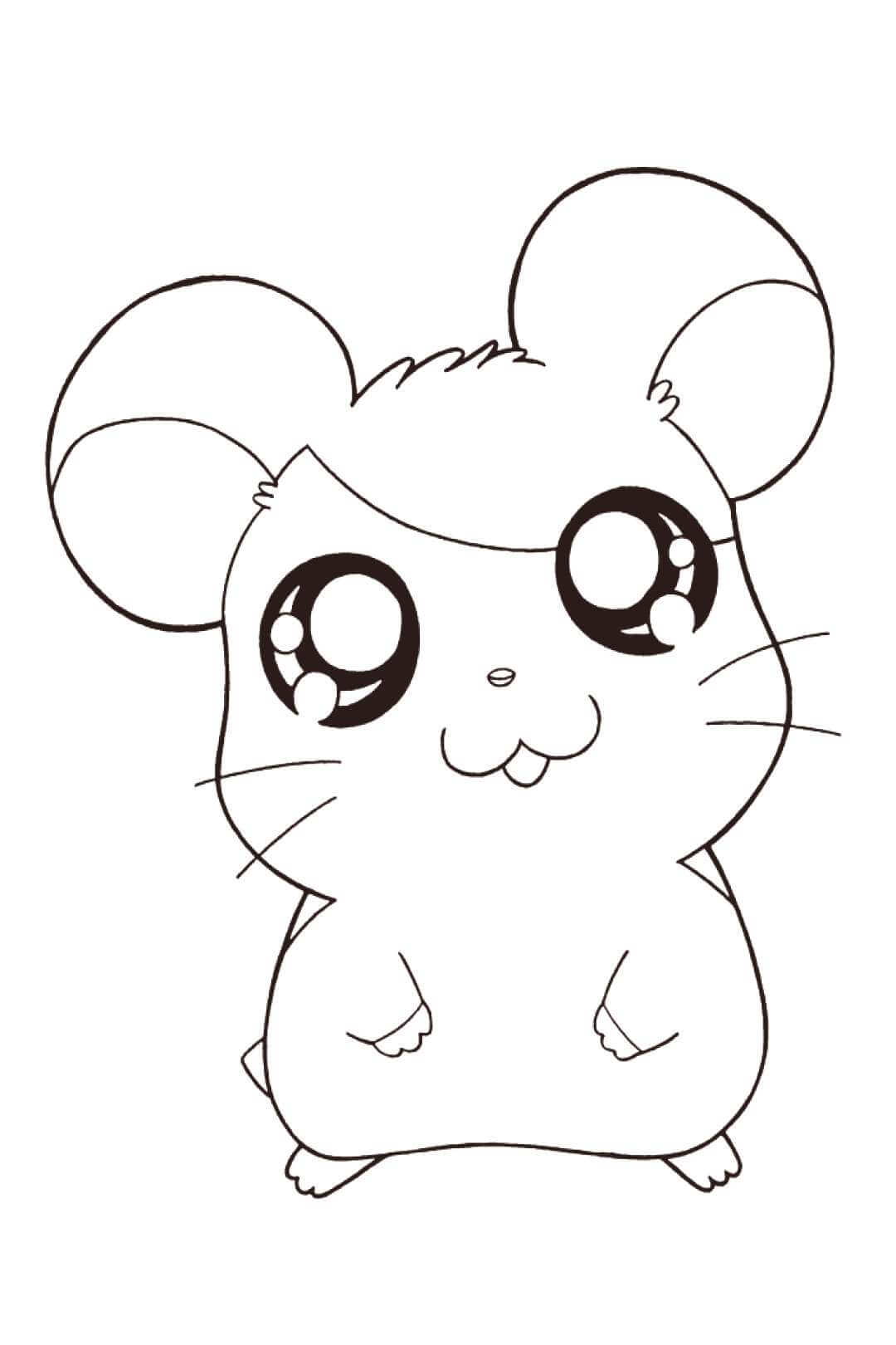 Dibujo de Kawaii Hmster para Colorear