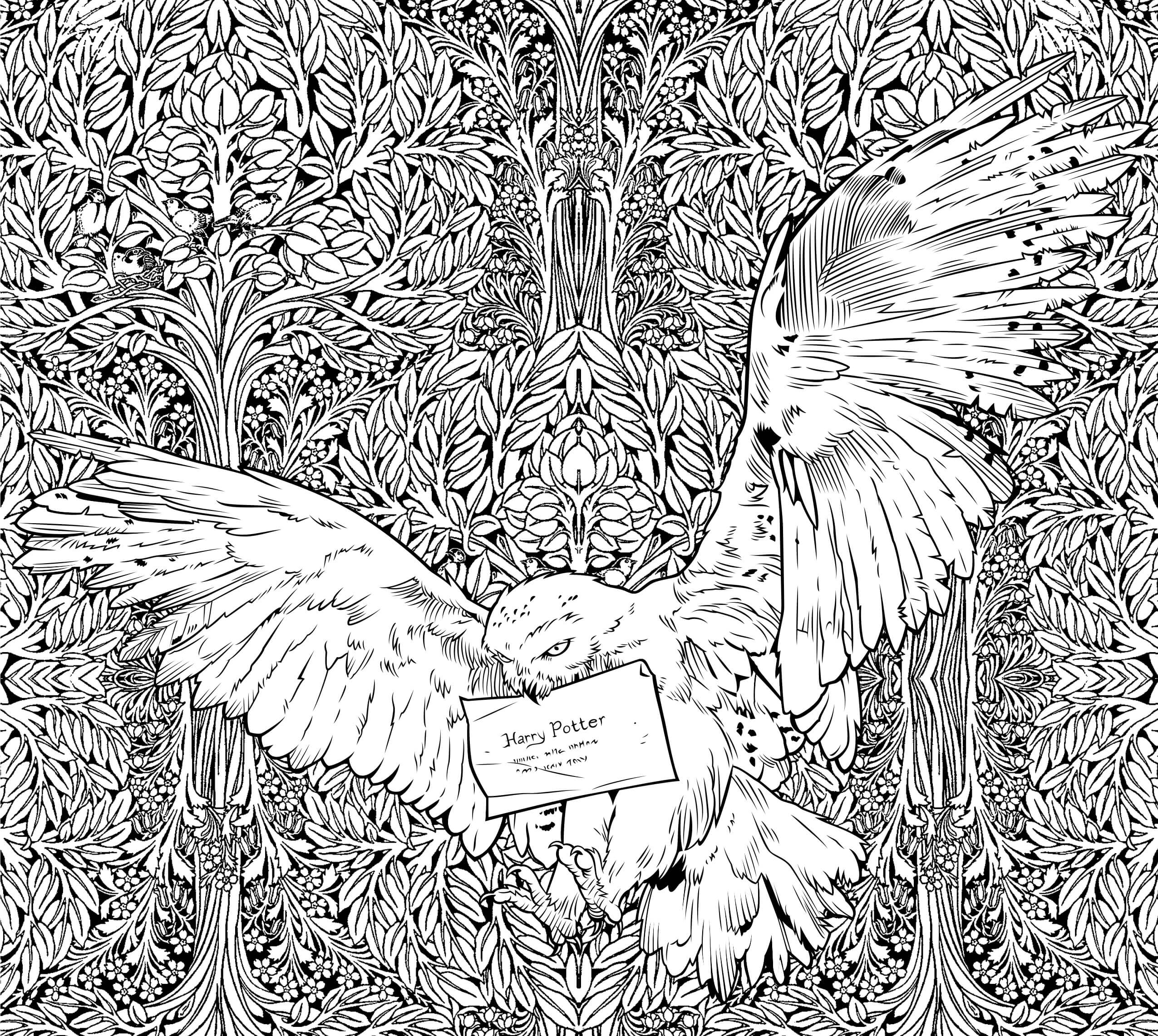 Dibujo de Hedwig de Dumbledore para Colorear
