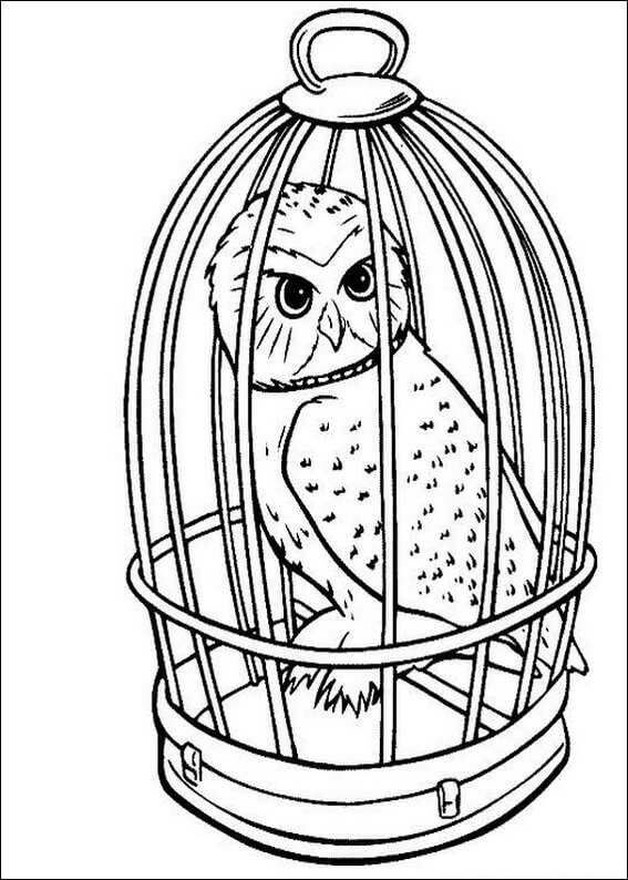 Dibujo de Hedwig en el Granero para Colorear
