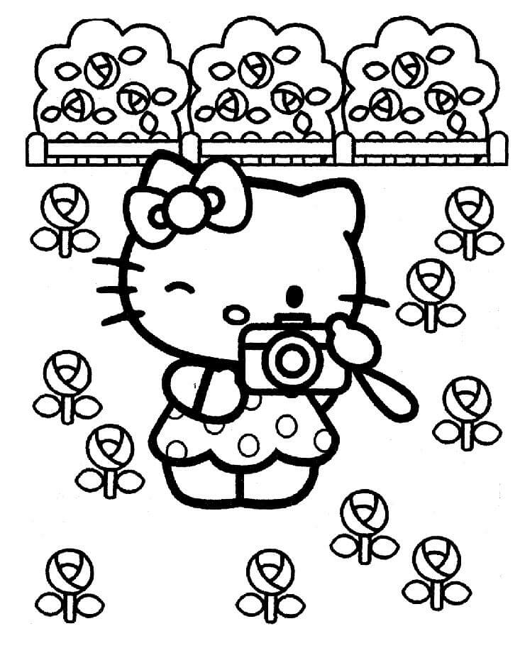 Dibujo de Hello Kitty Tomando Fotos del jardín de Flores para Colorear