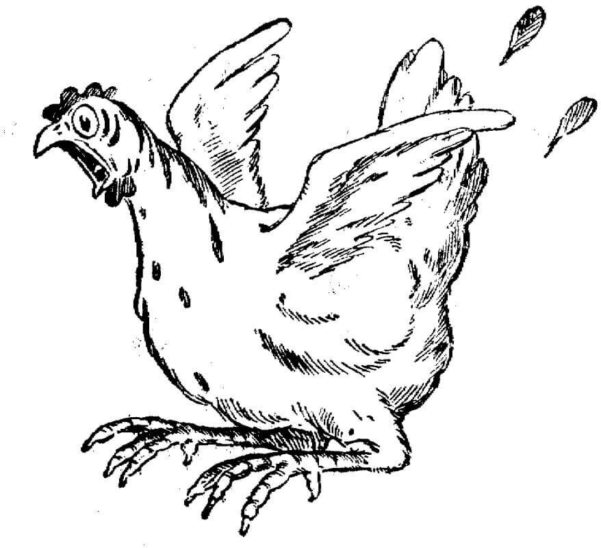 Dibujo de Gallina Asustada para Colorear