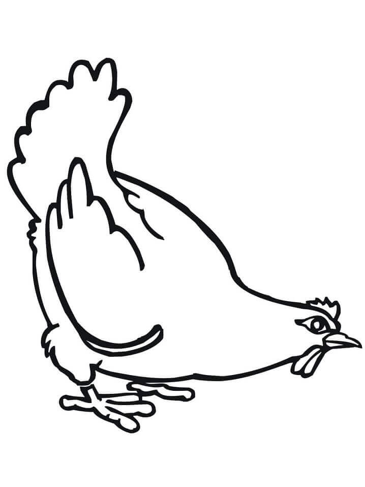Dibujo de Gallina Gorda para Colorear