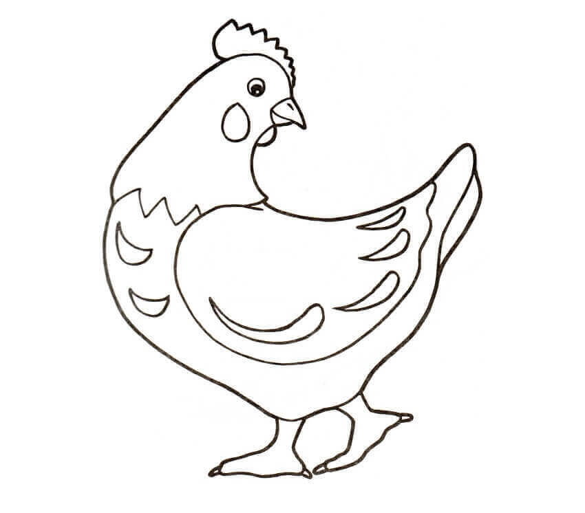 Dibujo de Gallina Normal para Colorear