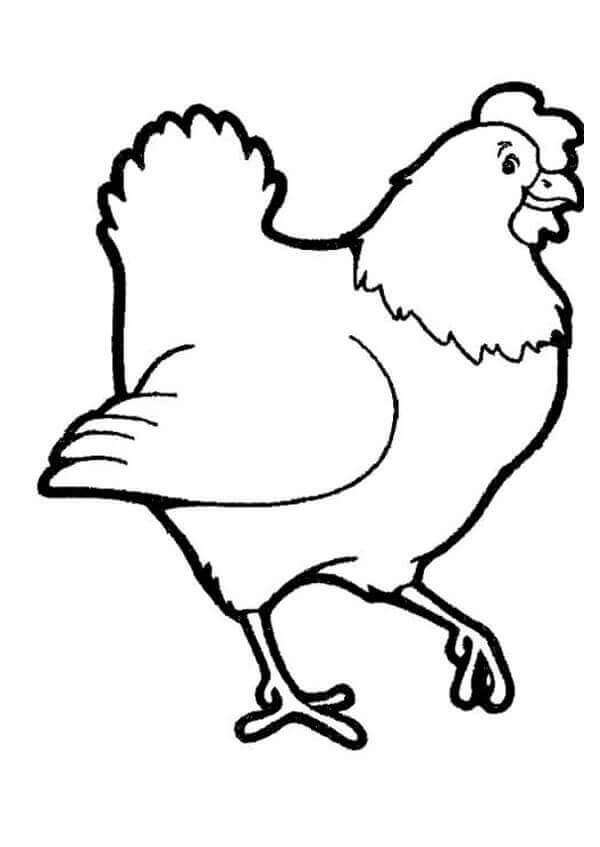 Dibujo de Gallina Simple para Colorear