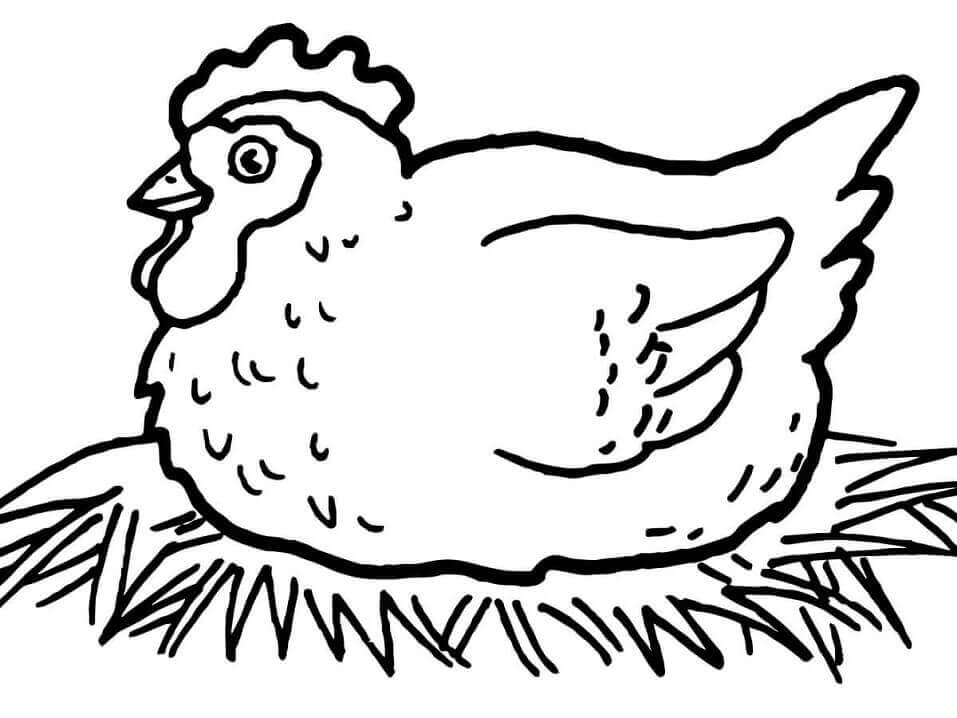 Dibujo de Gallina en el Nido para Colorear