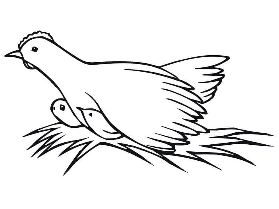 Dibujo de Gallina y Pollitos 1 para Colorear