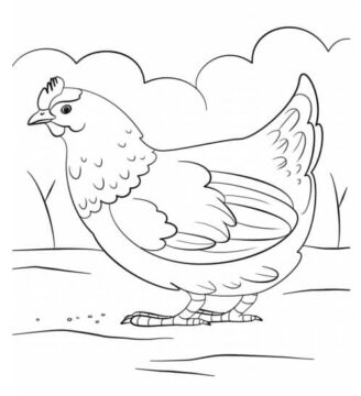 Dibujo de Una Gallina para Colorear