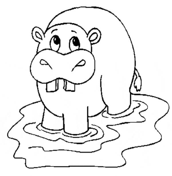 Dibujo de Hipopótamo para Colorear