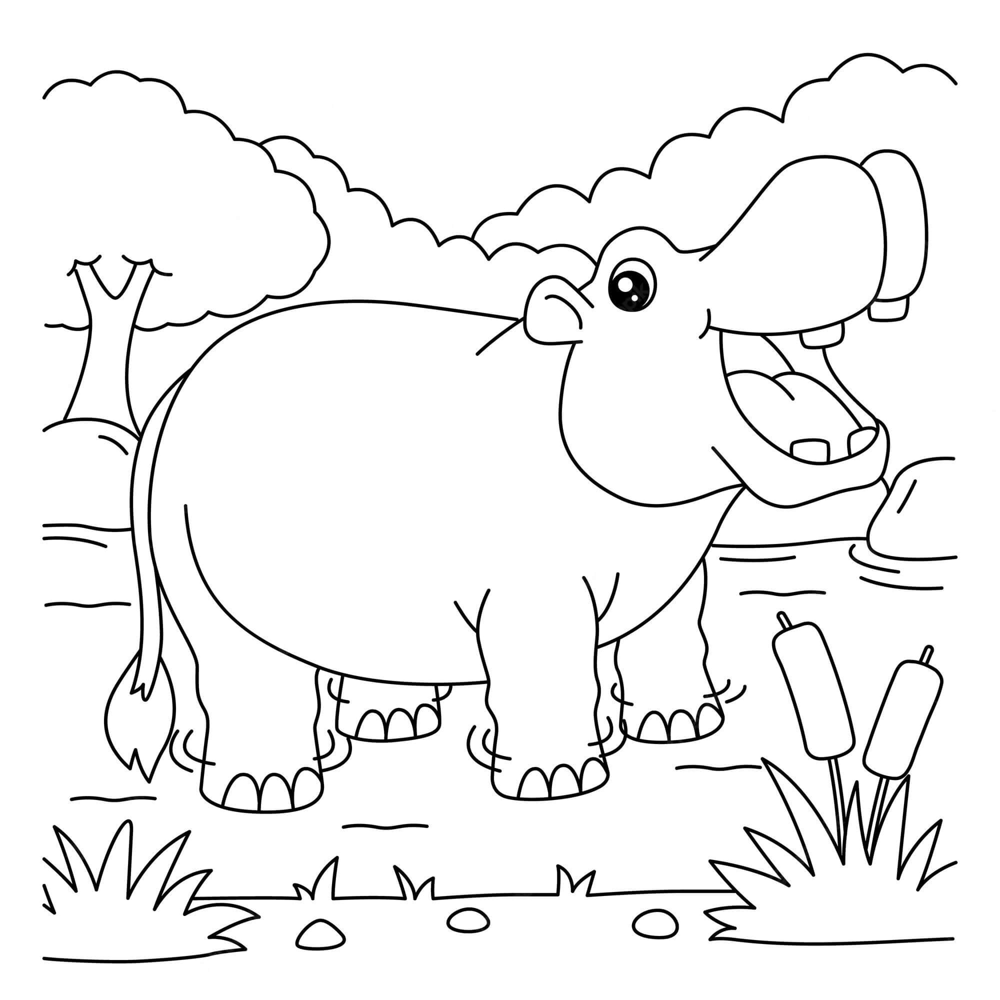 Dibujo de Hipopótamo de Dibujos Animados para Colorear