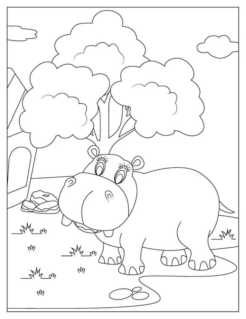 Dibujo de Hipopótamo en el zoológico para Colorear