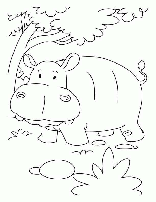 Dibujo de Hipopótamo Increible para Colorear