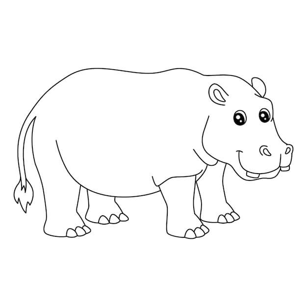 Dibujo de Hipopótamo Perfecto para Colorear