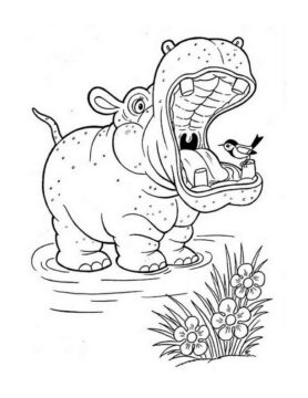 Dibujo de Pájaro Posado en la Boca del hipopótamo para Colorear