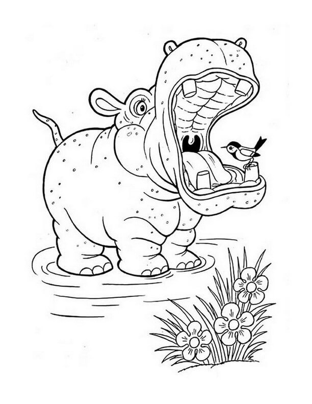Dibujo de Pájaro Posado en la Boca del hipopótamo para Colorear
