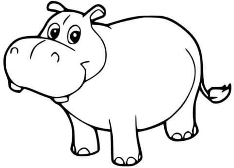 Dibujo de Pequeño hipopótamo Lindo para Colorear