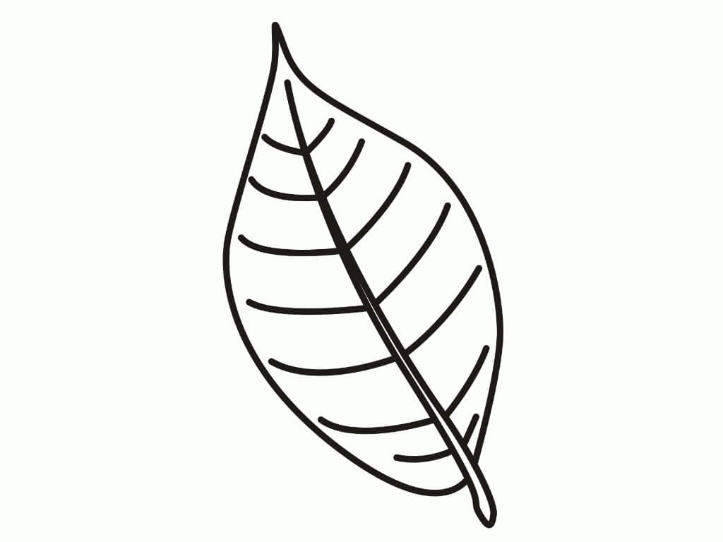 Dibujo de Bonita Hoja para Colorear