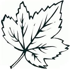 Dibujo de Hoja para Colorear