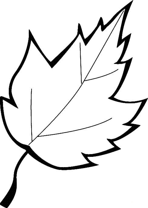 Dibujo de Gran Hoja para Colorear