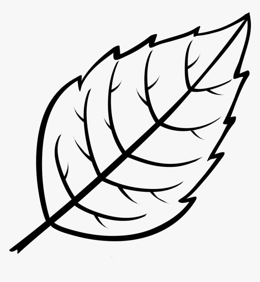 Dibujo de Hoja Normal para Colorear