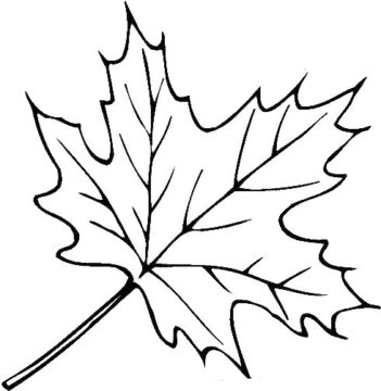 Dibujo de Hoja Perfecta para Colorear