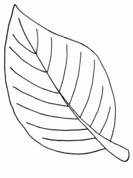 Dibujo de Hoja Relacionada para Colorear
