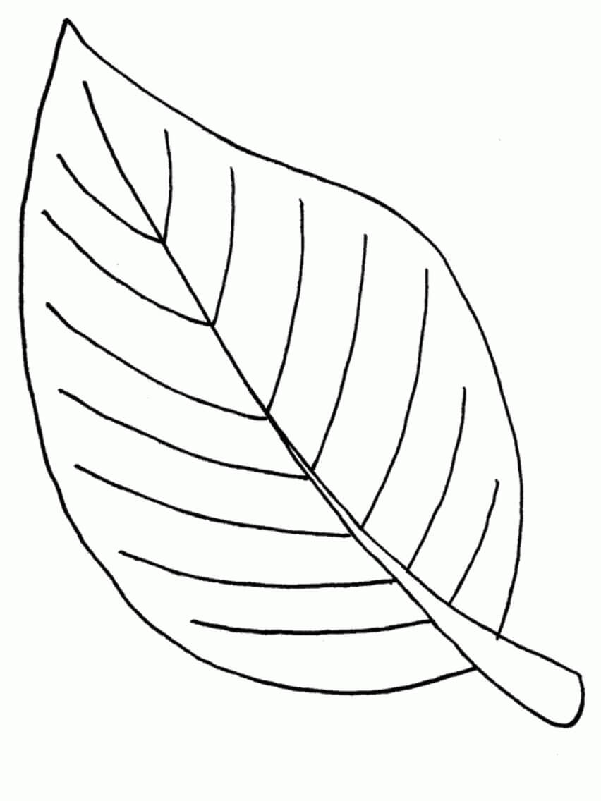 Dibujo de Hoja Relacionada para Colorear