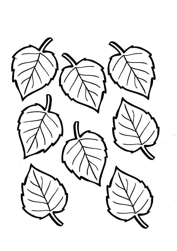 Dibujo de Ocho Hojas para Colorear