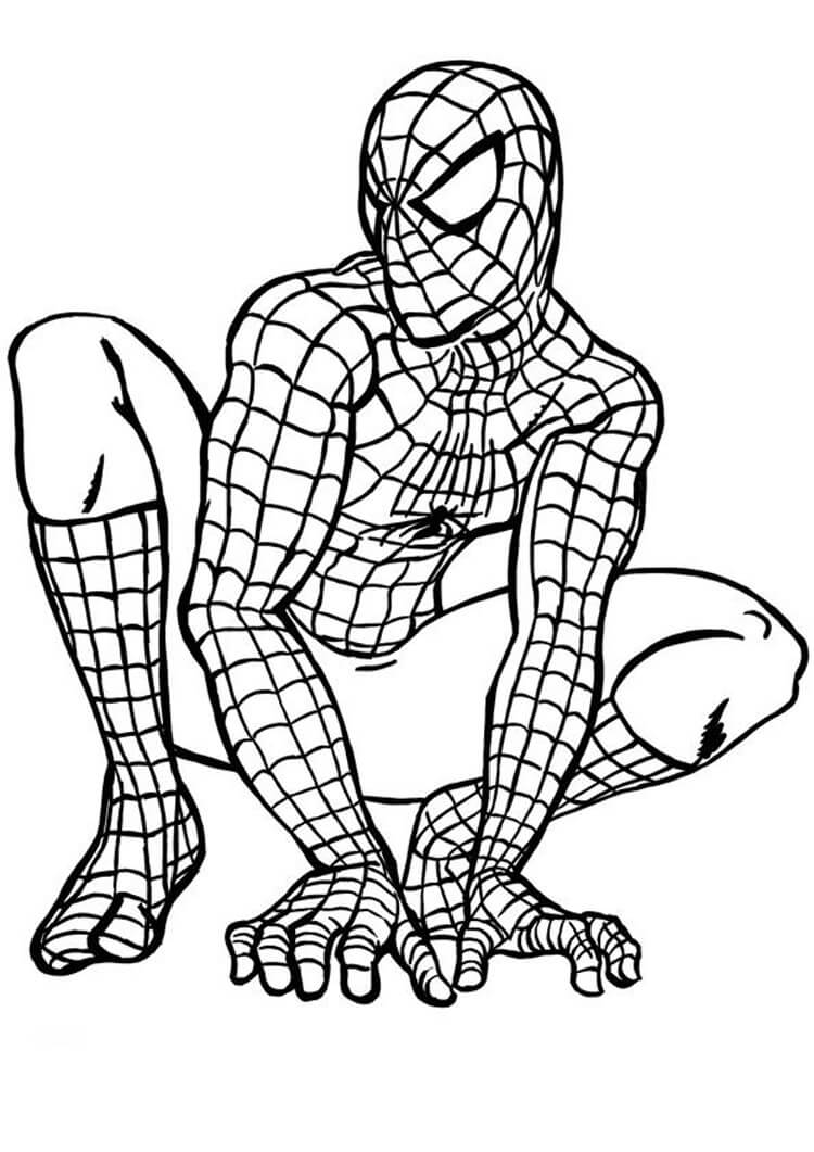 Dibujo de Agradable Hombre araña para Colorear