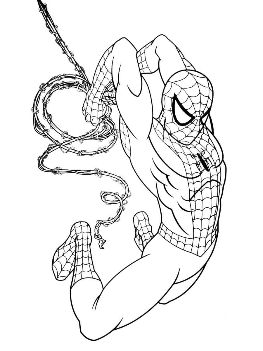 Dibujo de Ataque del Hombre araña para Colorear