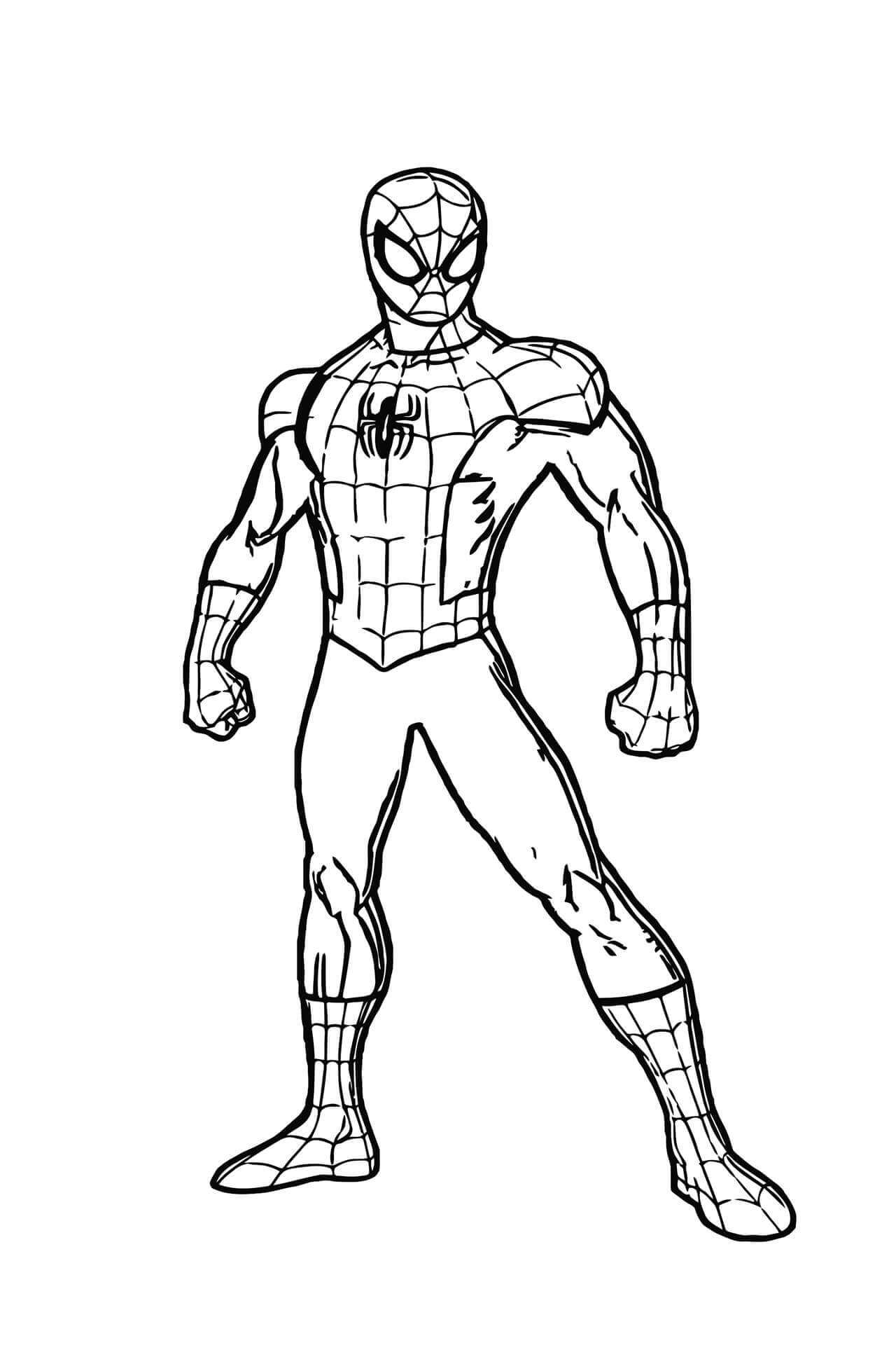 Dibujo de Buen Hombre araña para Colorear